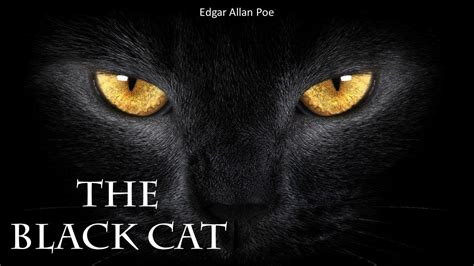 Black Cats and their Association with Witchcraft: A Historical Overview